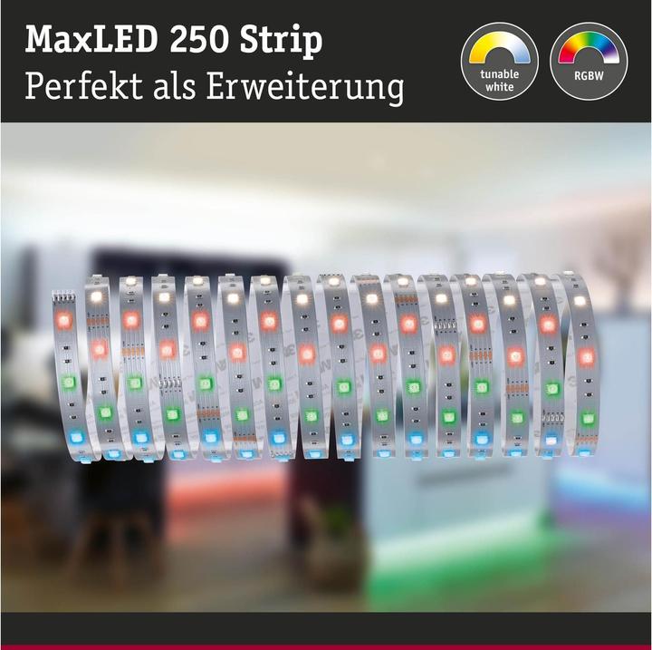 Actual product image Paulmann MaxLED 250 Stripe (Warm white, 500 cm, Indoor)