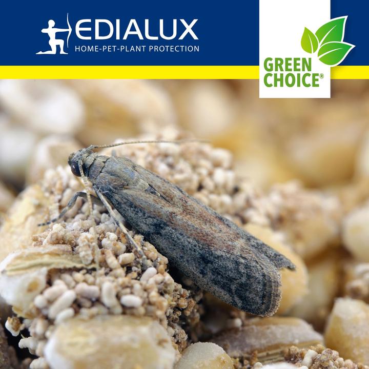 Image du produit Edialux Green Choice - Piège à mites alimentaires, 2 pièces