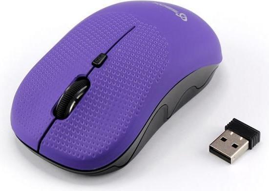Viola