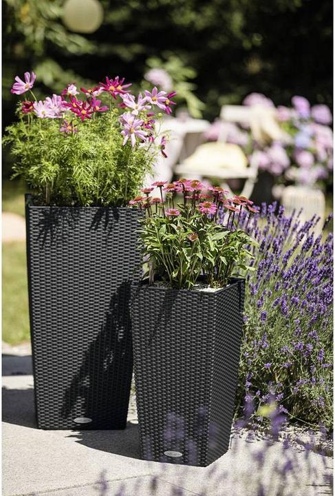 Immagine prodotto Lechuza Cubico Cottage (29.50 cm)