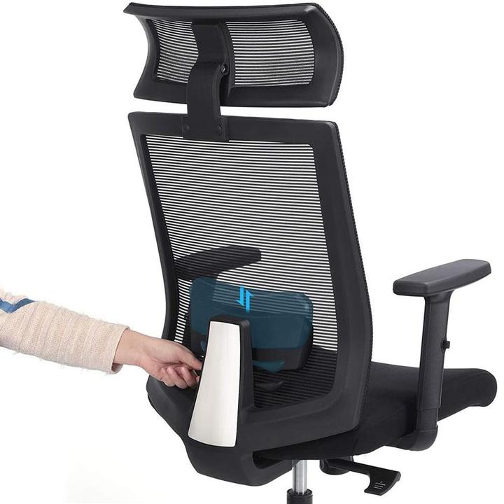Actual product image Songmics Desk Chair Black