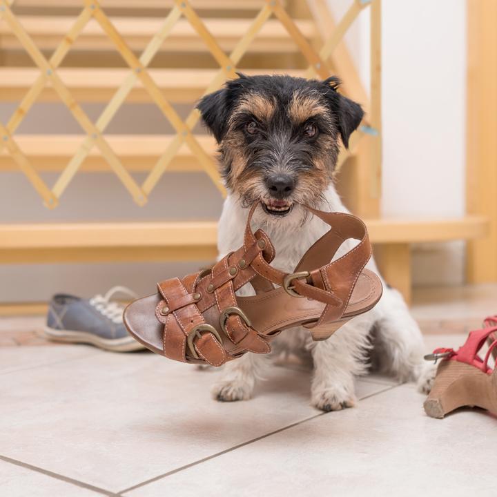 Immagine prodotto Relaxdays Hundeabsperrgitter (3 cm)