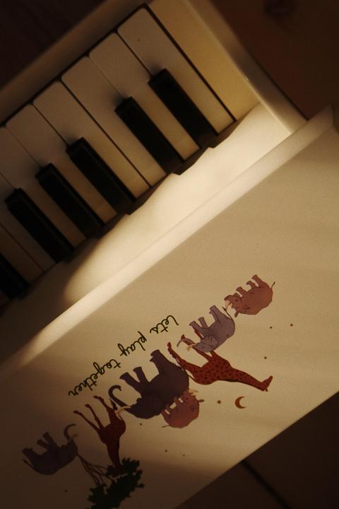 Immagine prodotto Konges Slojd Pianoforte a coda Safari