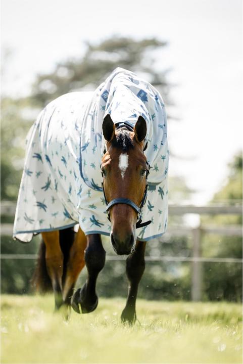 Produktbild Horseware Fliegendecke Amigo Bug Rug XL Plus (145 cm)