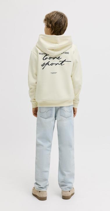 Image du produit Jack & Jones Kapuzenpullover Junior Kapuzenpullover (140)