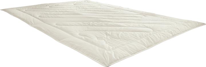 Actual product image Erwin Müller Bio Hanf (1100 g, 155 x 240 cm)