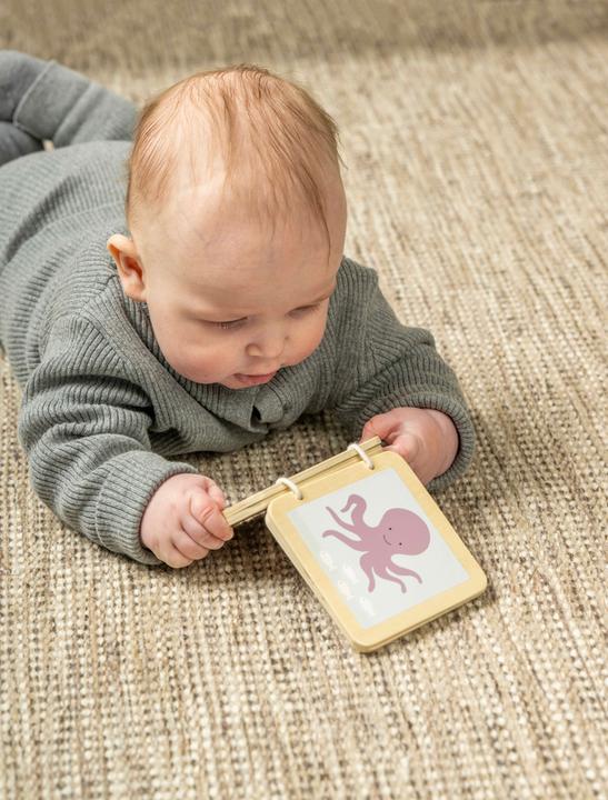 Actual product image Jabadabado Game and learning box