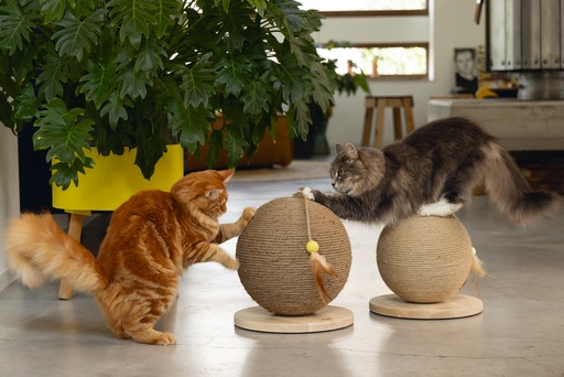 Actual product image Designed by Lotte Balty (27 cm, Brown)