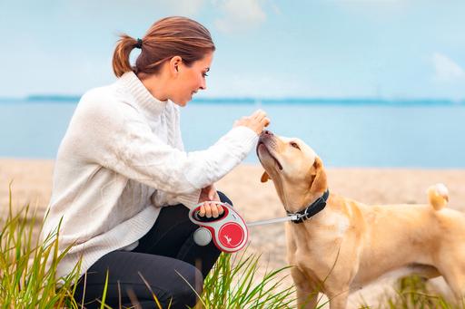 Image du produit Flexi Nouveau confort (M, Chien, Promenade)