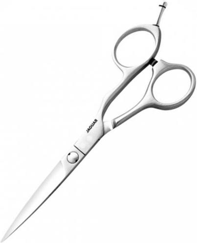 Immagine prodotto Jaguar Vision (14.61 cm)