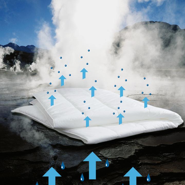 Immagine prodotto Centa-Star Famous (270000 g, 135x200 cm)