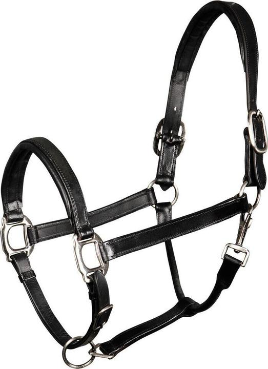 Produktbild Harry's Horse Halfter aus Leder