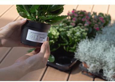 Actual product image HERMA Weatherproof labels A4 removable