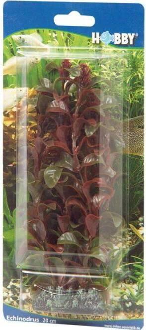 Actual product image Dohse Rotala, 30 cm (Embellishment, Flora)