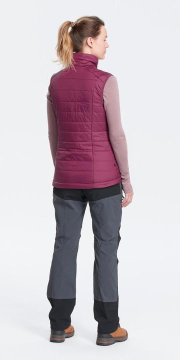 Actual product image Forclaz TREK100 (L)