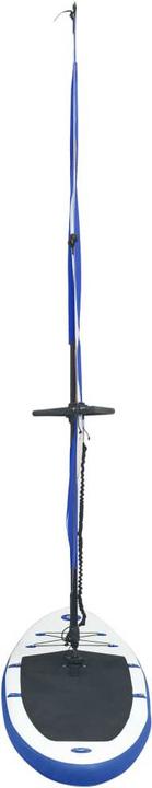 Immagine prodotto vidaXL Paddelboard-Set (10'10")
