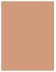 Actual product image L'Oréal Paris Infaillible Matte Cover (290 Golden Amber)