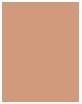 Actual product image L'Oréal Paris Infaillible Matte Cover (290 Golden Amber)