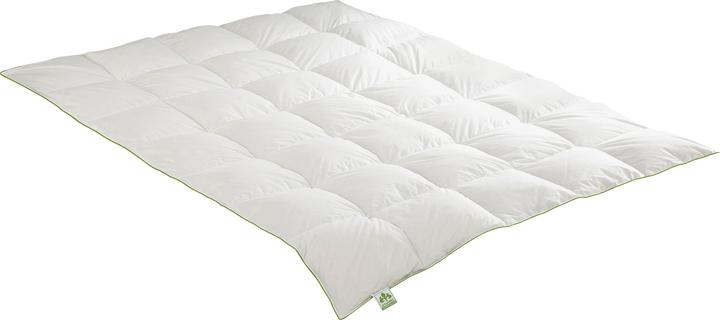 Irisette Einziehdecke "Daune" (650 g, 155 x 200 cm)