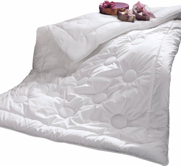 Image du produit Irisette Duo-Steppbett (Poils de yak, 155 x 200 cm)