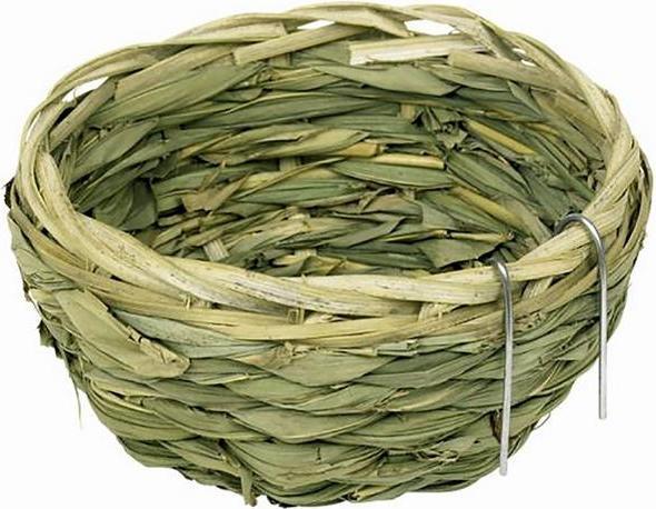 Nobby Forest Bird's Nest