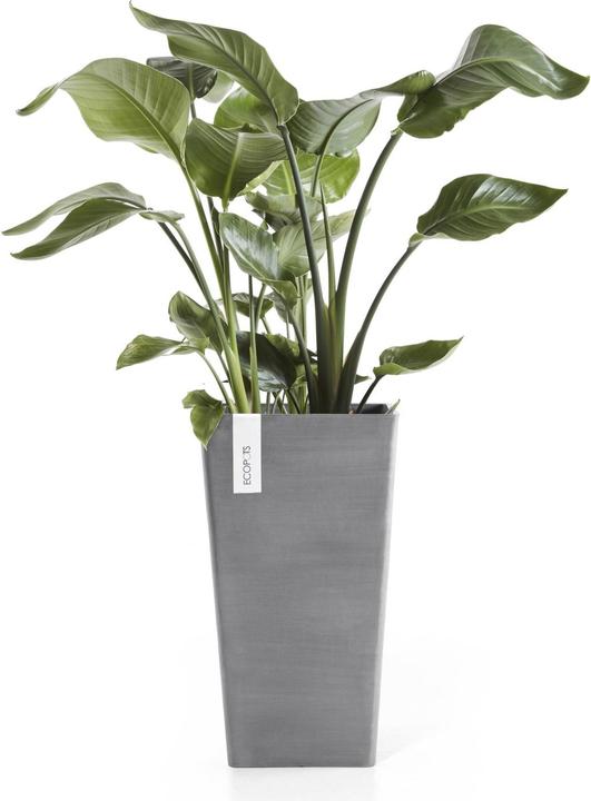 Produktbild Ecopots Rotterdam halbhoch (56 cm)