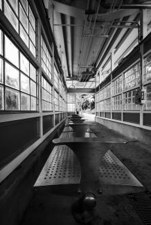 Immagine prodotto Venus Optic Laowa 14mm f/4 FF RL Zero-D Canon RF (Canon RF, Full frame)