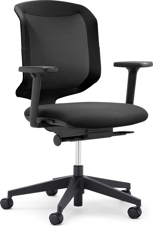 Actual product image Giroflex Chair 2 Go 434