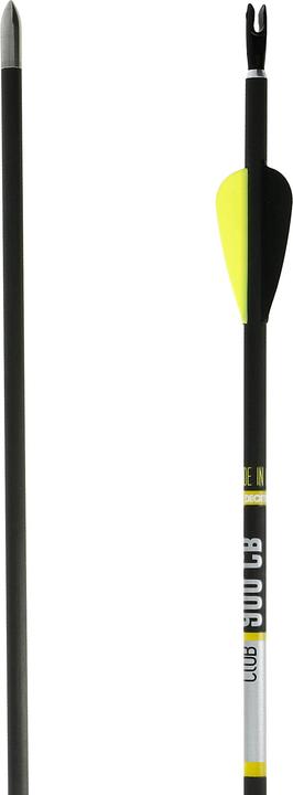 Actual product image Geologic Arrow target shooting carbon 3-pack