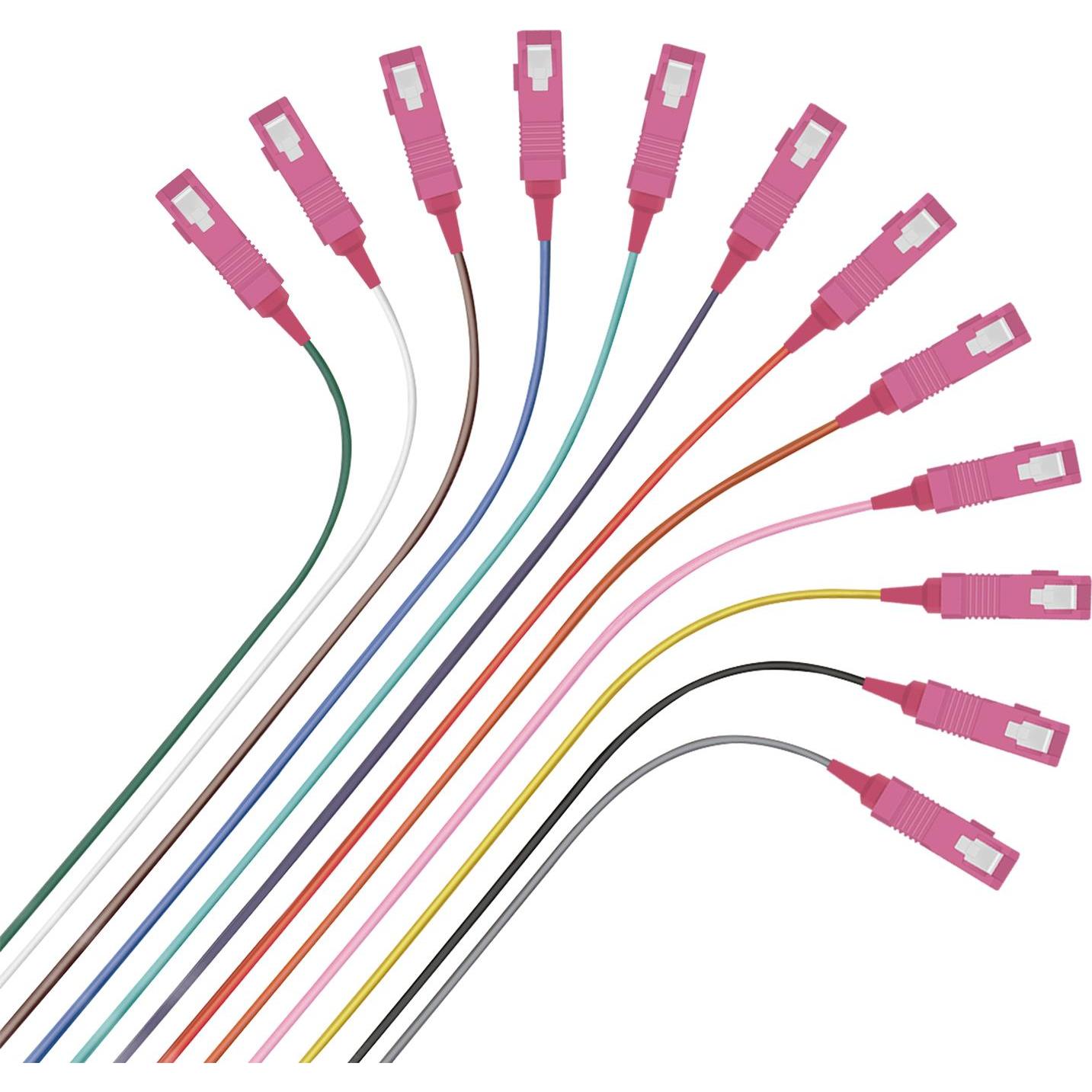 Helos Faserpigtail 12 x SC OM4 50/125µm, easy strip, 2,0m (UTP, CAT6, 2 m), Netzwerkkabel