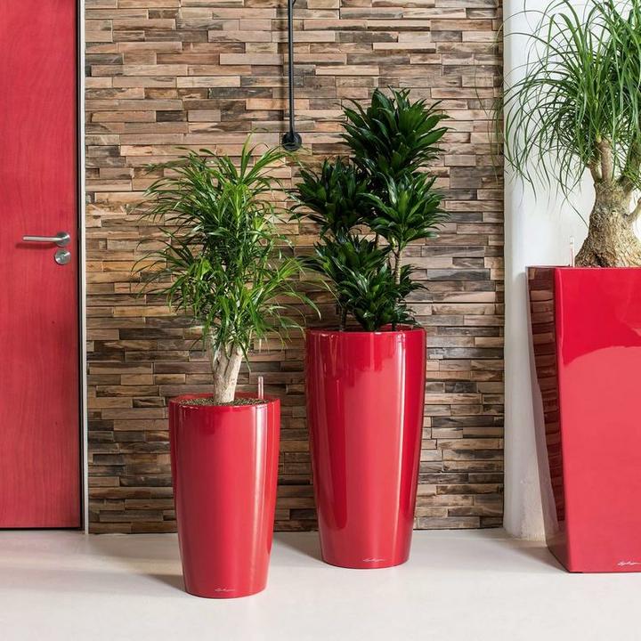 Produktbild Lechuza RONDO Premium. (32.50 x 32.50 x 56.50 cm)