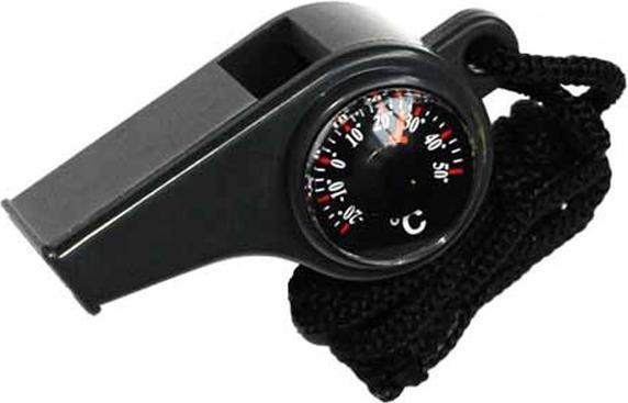 Actual product image Corvus Toys Whistle