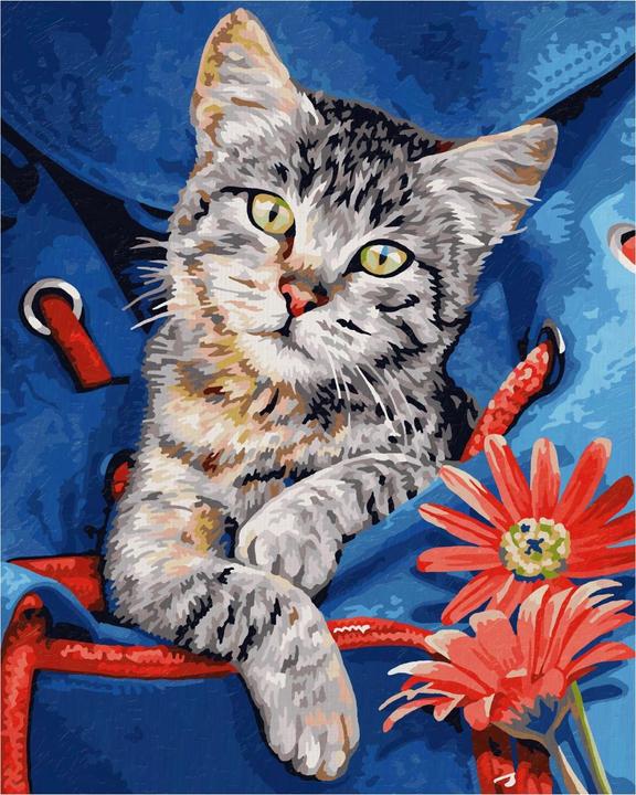 Actual product image Simba MNZ - Cat in backpack