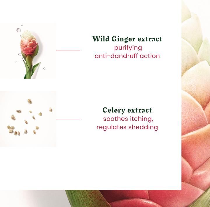 Actual product image Rene Furterer Neopur - Anti-Dandruff Shampoo - Oily Dandruff (250 ml)