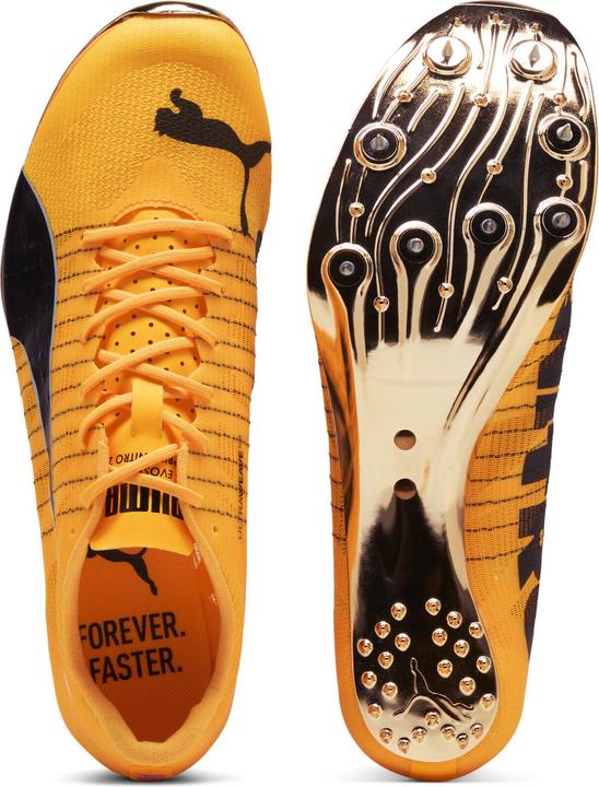 Produktbild Puma evoSPEED Sprint NITRO Elite 2 (43)