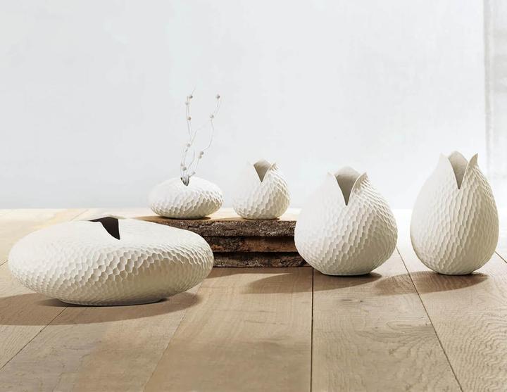 Image du produit ASA Selection nature (1x)