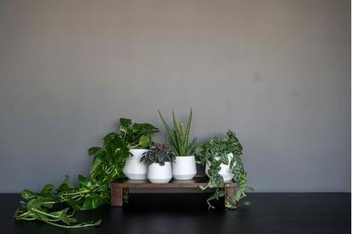 Produktbild Pottery Pots Julia L (16.50 x 17 cm)