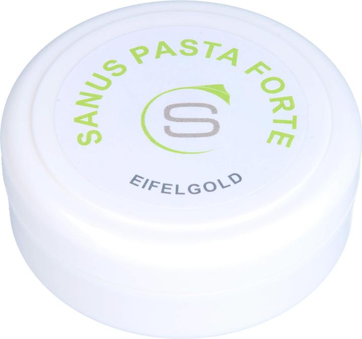 Produktbild Sanus PASTA FORTE, 100 g Salbe (Körpercreme)