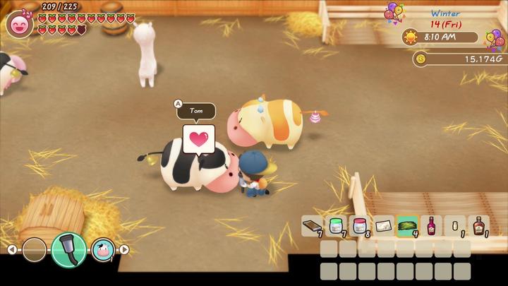 Actual product image Marvelous Story of Seasons: Friends of Mineral Town (Switch, DE)