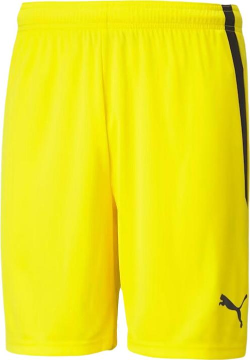 Produktbild Puma Team Liga Shorts (M)