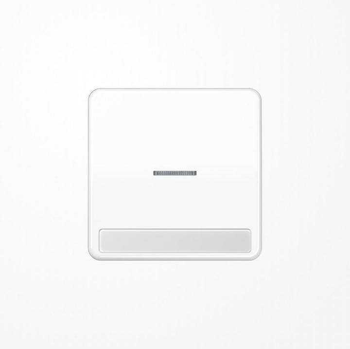 Actual product image JUNG Control rocker switch CD aws glz CD590NAKO5WW