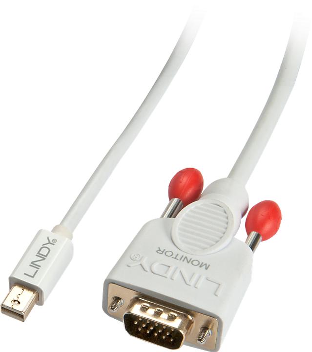 Produktbild Lindy Mini DP zu