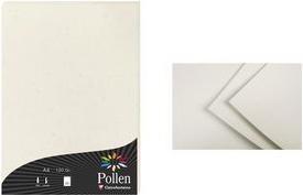 Produktbild Pollen Papier (210 g/m², 25 x, A4)