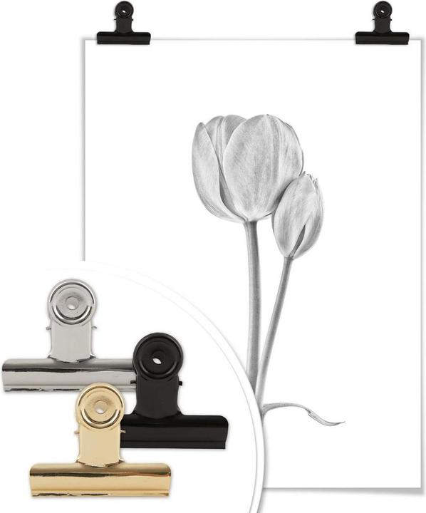 Produktbild Trenddeko Tulpen (80 x 100 cm)