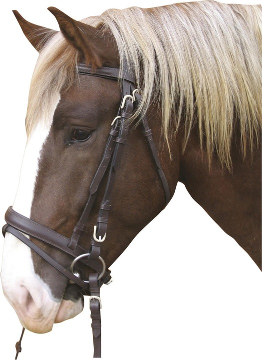 Actual product image Kerbl Snaffle bridle