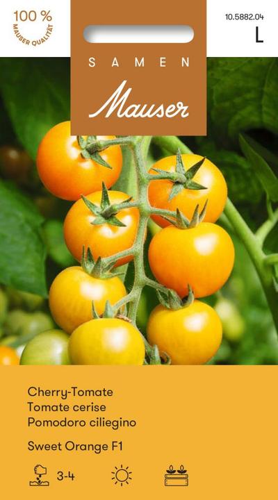 Immagine prodotto Samen Mauser Pomodoro ciliegia Dolce (Semi di verdura)