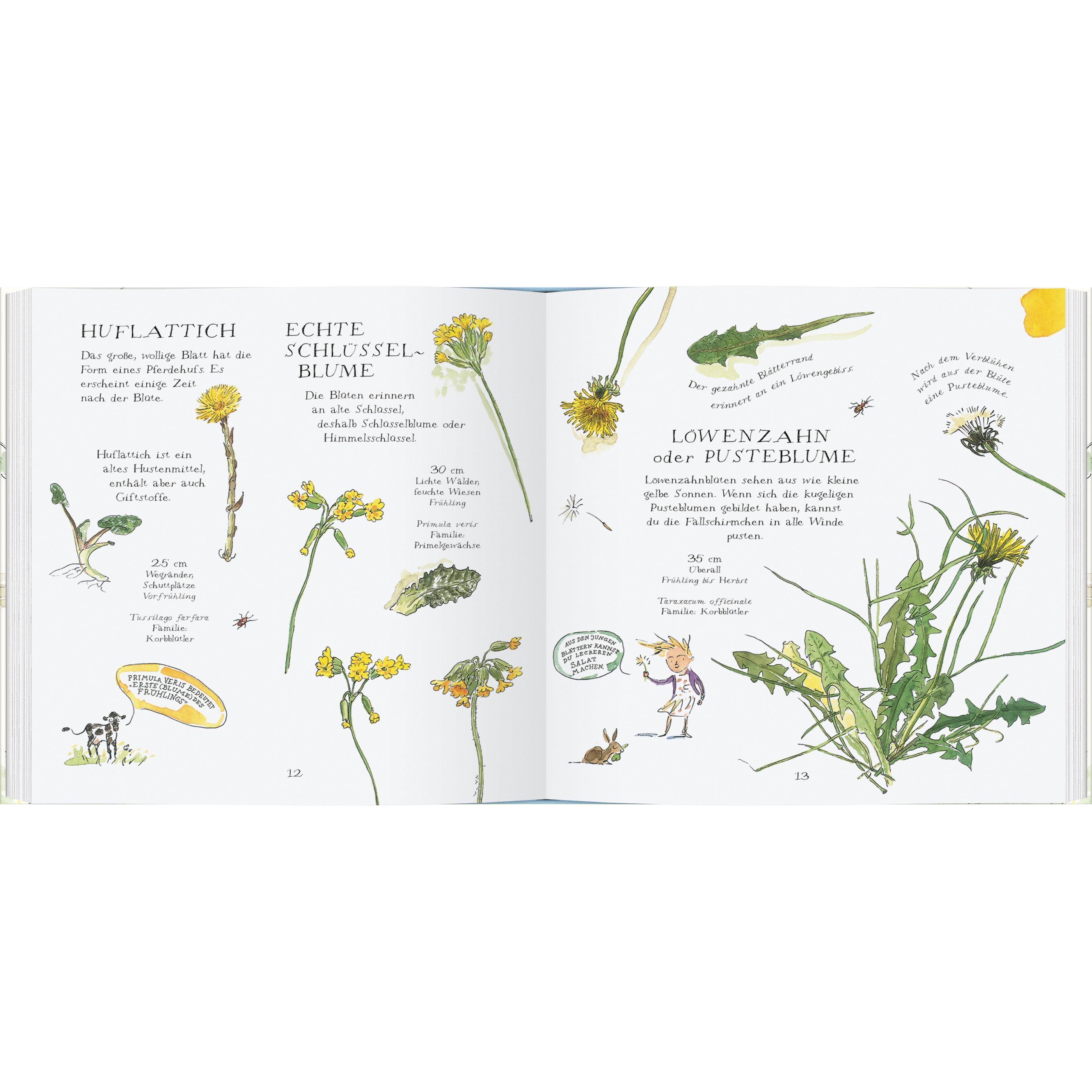 Thumbnail - Veilchen, Mohn und Gänseblümchen, Kinderbücher von Charlotte Voake