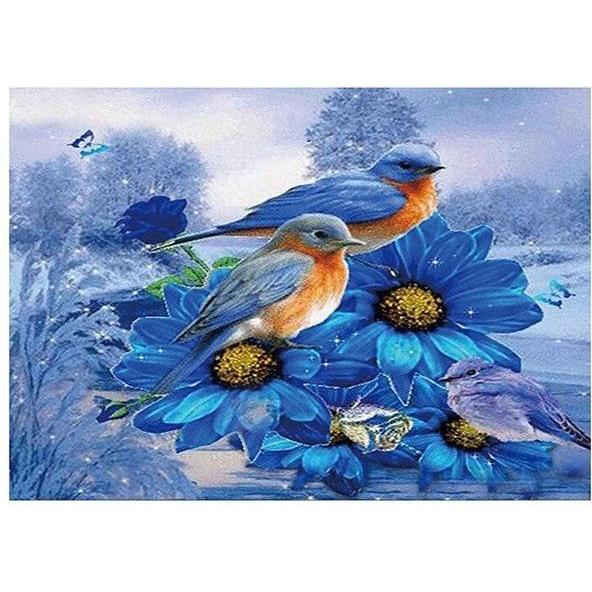 Norimpex 5D-Diamantmosaik - Vögel 40x30cm