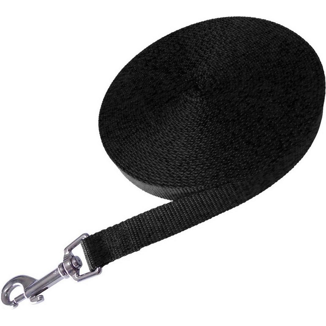 Gloria Hundeleine 2 cm x 10m (Cane, Sport cane), Collare + Guinzaglio