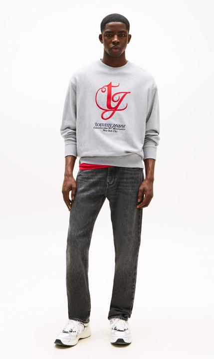 Image du produit Tommy Jeans 10021356 (W38/L34)